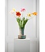 SILK-KA Tulip Stem Orange RT | 72 cm