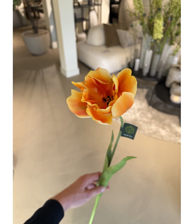 SILK-KA Tallo de tulipán naranja RT | 72 cm
