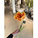 SILK-KA Stelo di tulipano arancione RT | 72 cm