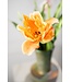 SILK-KA Tulpenstiel Orange RT | 72 cm