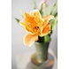 SILK-KA Stelo di tulipano arancione RT | 72 cm