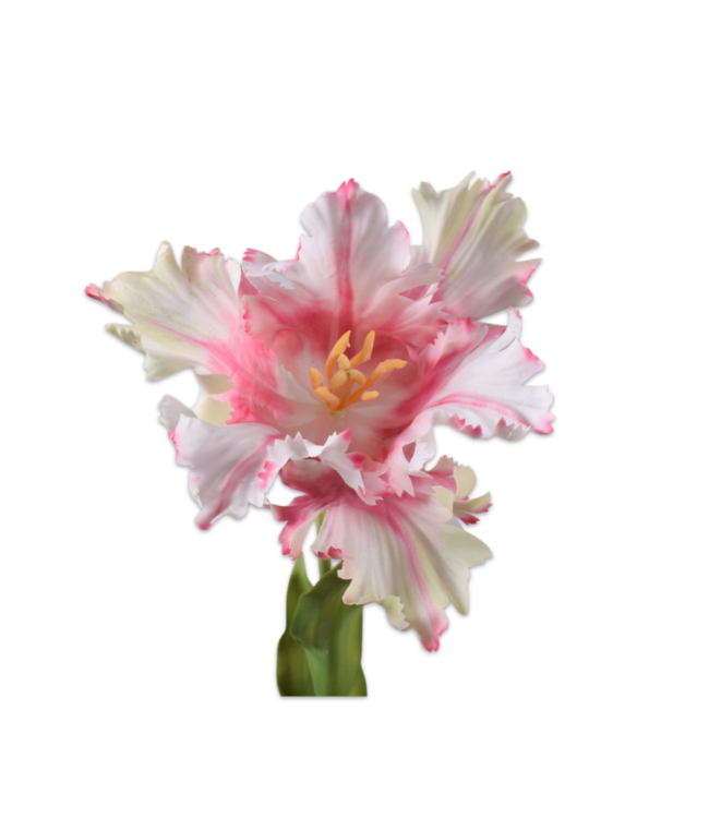 SILK-KA Tulipanstilk Rosa/Hvit RT | 71 cm
