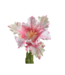 SILK-KA Tulp Steel Roze/Wit RT | 71 cm