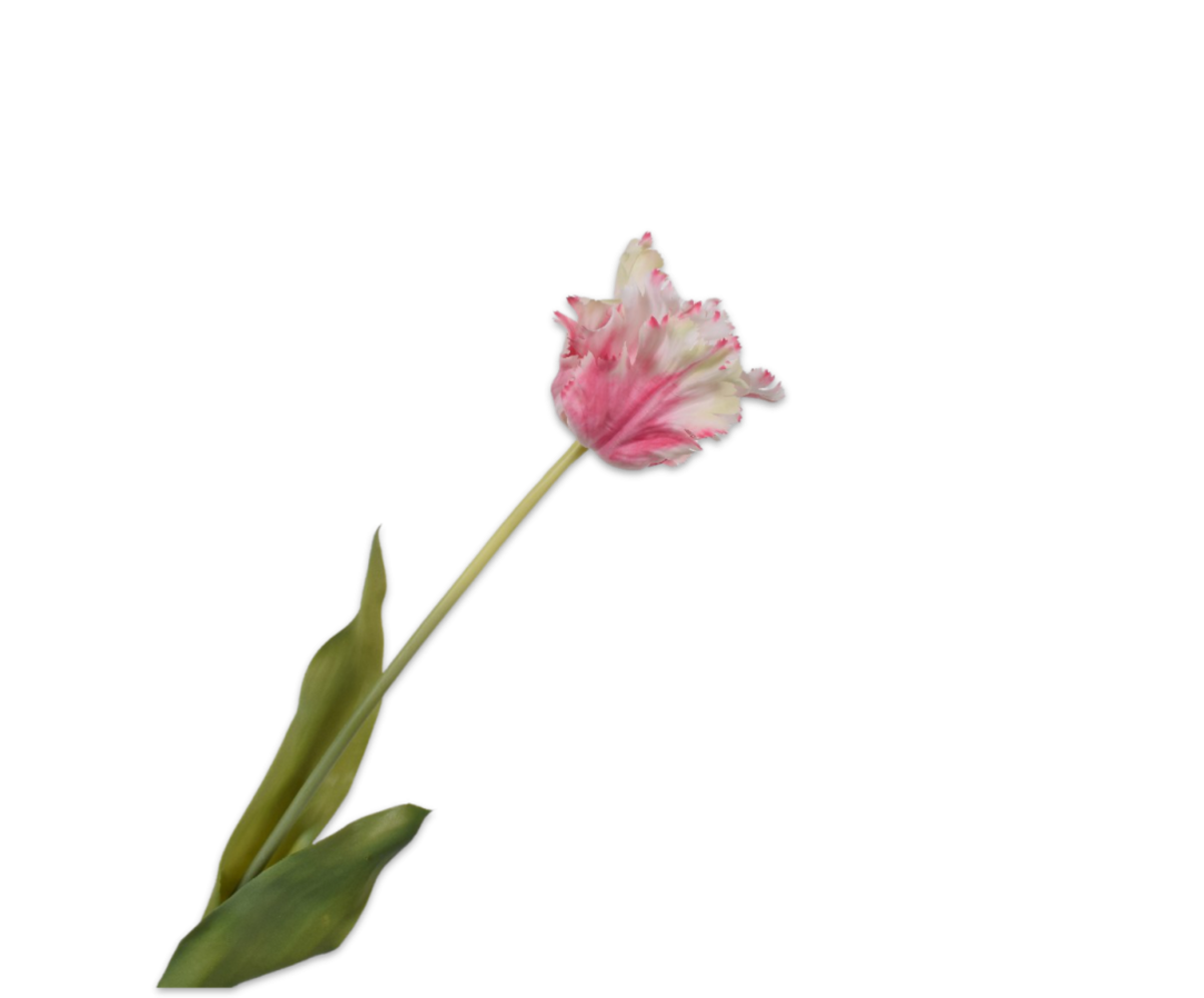 SILK-KA Tulp Steel Roze/Wit RT | 71 cm