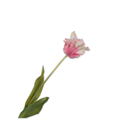 SILK-KA Stelo di tulipano rosa/bianco RT | 71 cm