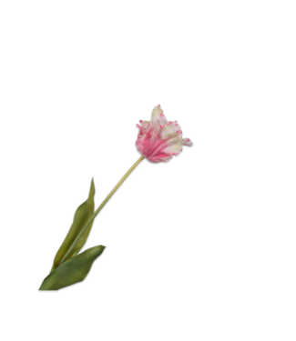 SILK-KA Tige de tulipe rose/blanche RT | 71 cm