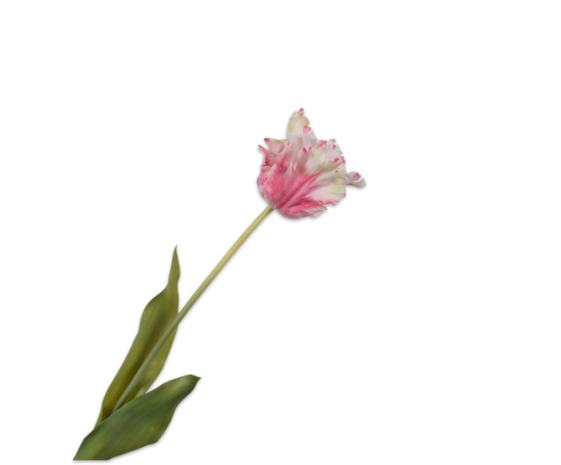 SILK-KA Tulp Steel Roze/Wit RT | 71 cm