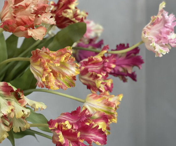 SILK-KA Tallo de tulipán rojo/verde RT | 71 cm