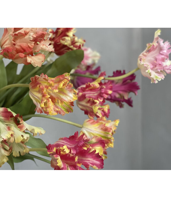 SILK-KA Tulp Steel Rood/Groen RT | 71 cm