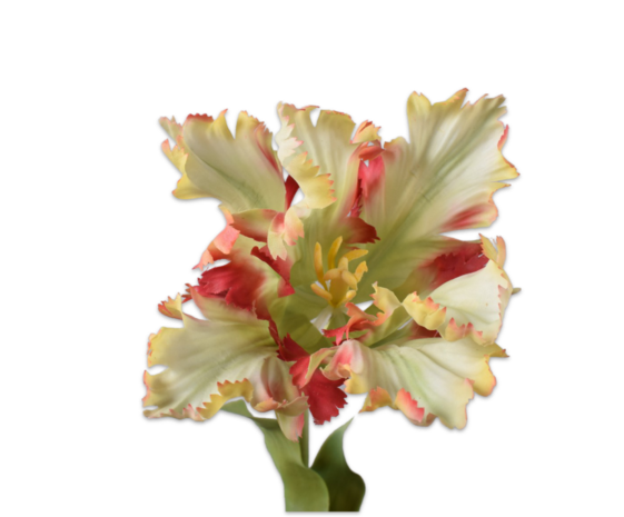 SILK-KA Tulip Stem Red/Green RT | 71 cm