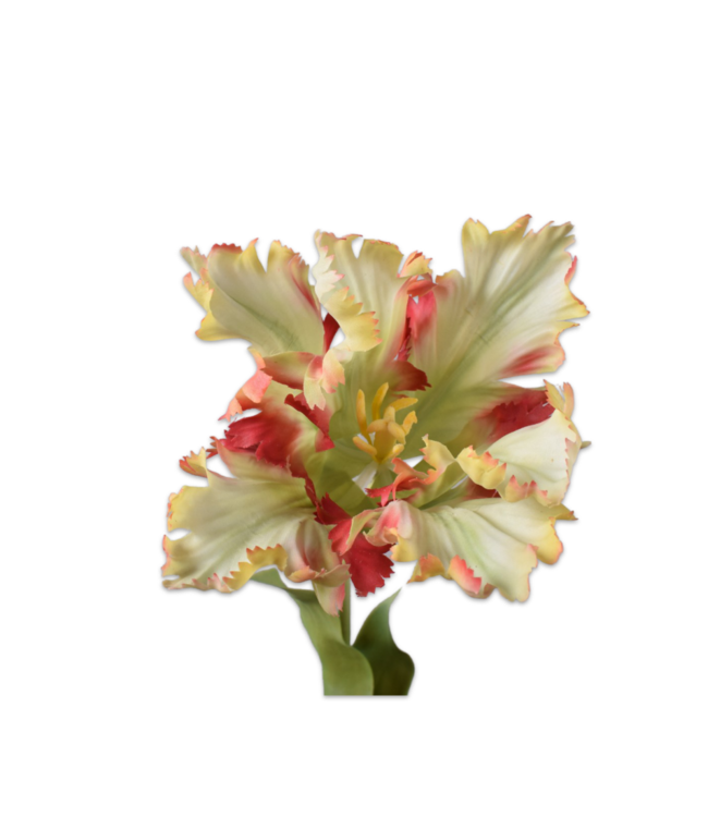 SILK-KA Tige de tulipe rouge/verte RT | 71 cm
