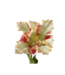 SILK-KA Tulpenstiel Rot/Grün RT | 71 cm