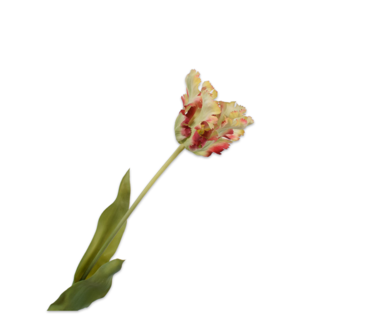 SILK-KA Tulip Stem Red/Green RT | 71 cm