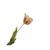 SILK-KA Tige de tulipe rouge/verte RT | 71 cm