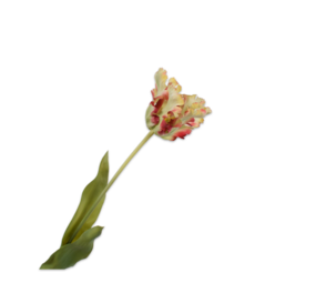 SILK-KA Tallo de tulipán rojo/verde RT | 71 cm