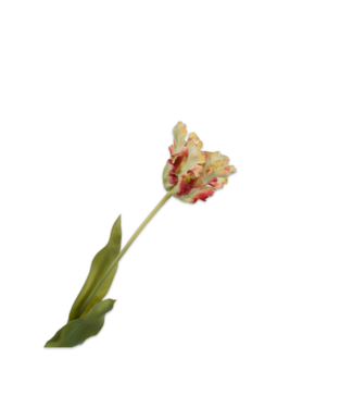 SILK-KA Tulip Stem Red/Green RT | 71 cm