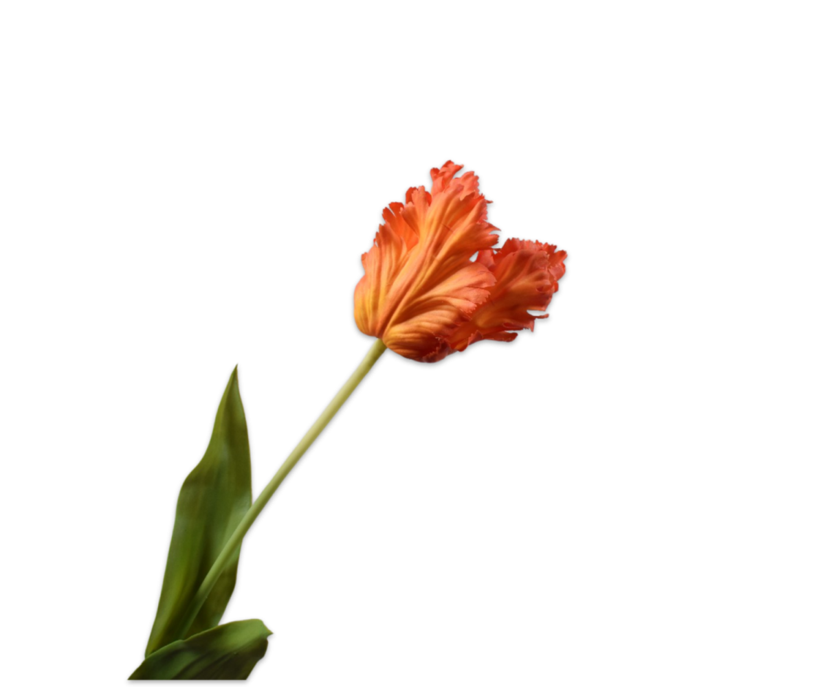 SILK-KA Tulp Steel Oranje/Rood  RT | 71 cm