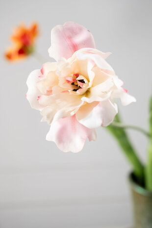 SILK-KA Tulipanstilk Kremfarget/Rosa RT | 72 cm