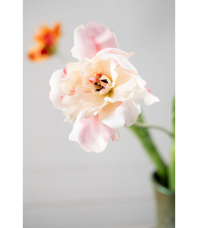 SILK-KA Tulp Steel Creme/Roze RT | 72 cm