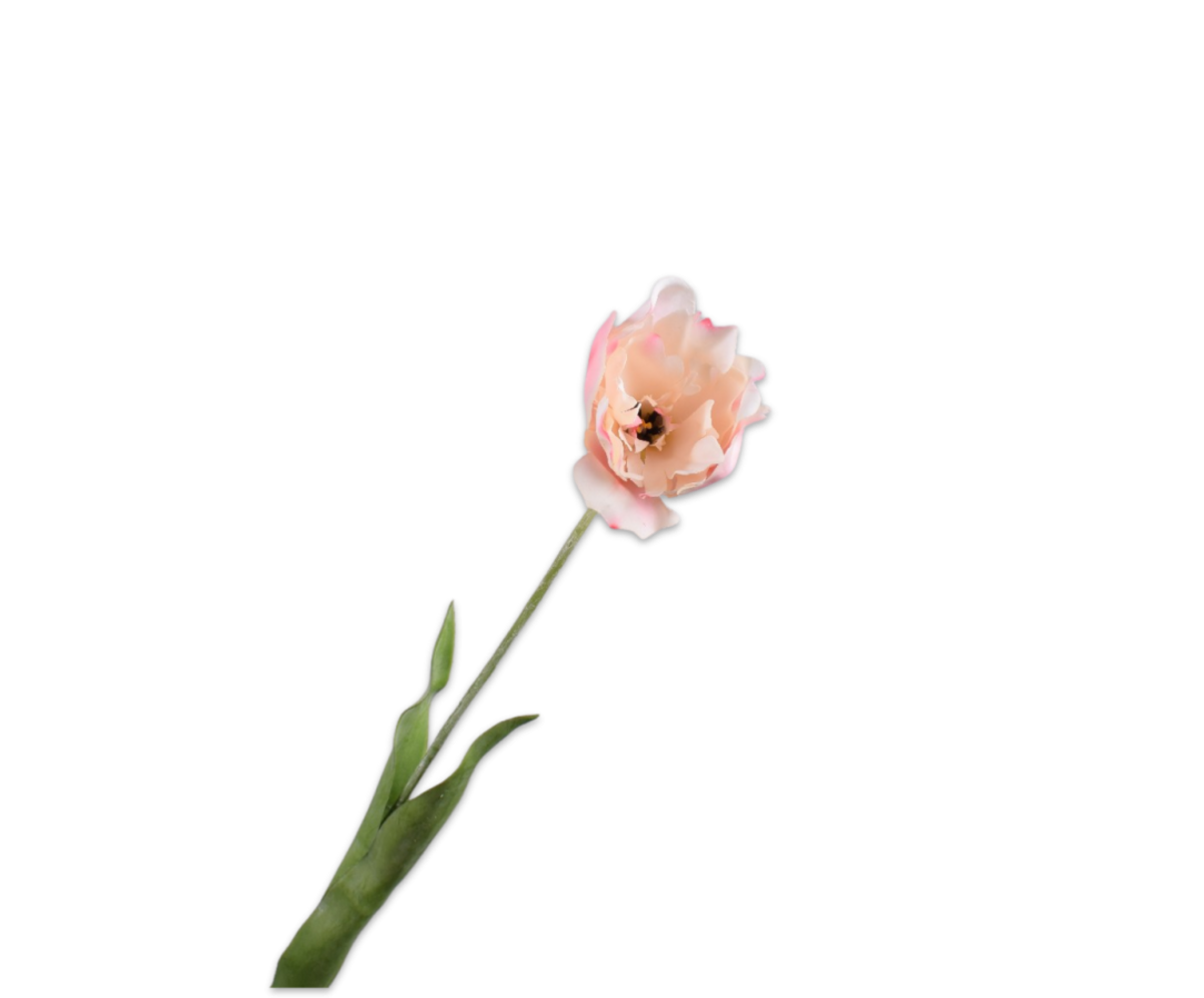 SILK-KA Tulip Stem Cream/Pink RT | 72 cm