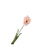 SILK-KA Tulp Steel Creme/Roze RT | 72 cm