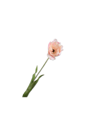SILK-KA Tulipanstilk Kremfarget/Rosa RT | 72 cm