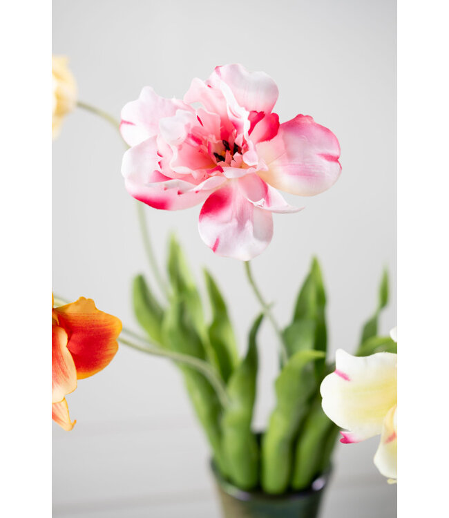 SILK-KA Tulp Steel Roze RT | 72 cm