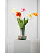 SILK-KA Tulip Stem Pink RT | 72 cm