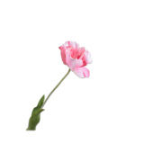 SILK-KA Tulip Stem Pink RT | 72 cm