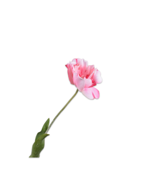 SILK-KA Tulip Stem Pink RT | 72 cm