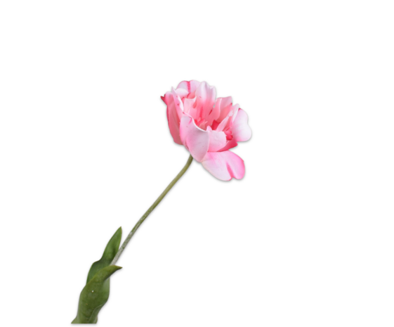 SILK-KA Tulipanstilk Rosa RT | 72 cm
