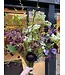 SILK-KA Kunst bloemen boeket " Burgundy Pleasure - Limited Edition ''
