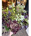 SILK-KA Kunst bloemen boeket " Burgundy Pleasure - Limited Edition ''