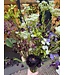 SILK-KA Kunst bloemen boeket " Burgundy Pleasure - Limited Edition ''