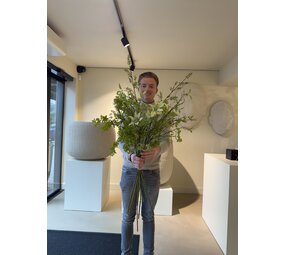 SILK-KA Künstlicher Blumenstrauß „Ein Hauch von Grün“