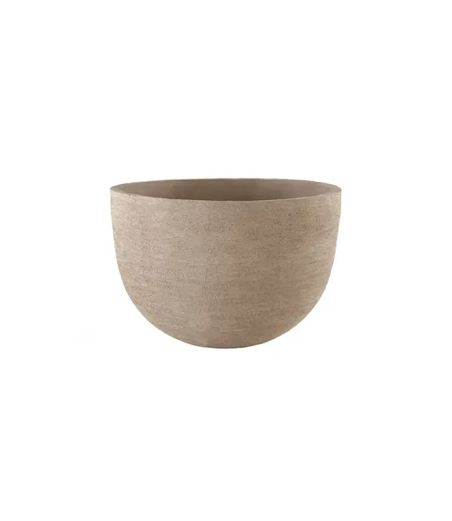 NU PUUR & GROEN DOMANI pot "Texel" natural grey / inclusief Bucida boom van Silk-Ka