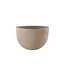 NU PUUR & GROEN DOMANI pot "Texel" natural grey / inclusief Bucida boom van Silk-Ka
