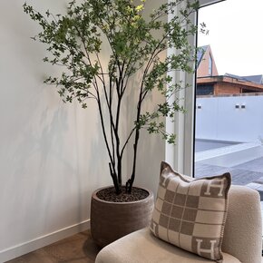 Eksklusive potteplantekombinasjoner 