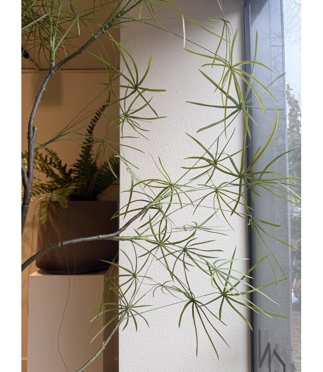 NU PUUR & GROEN DOMANI pot "Graz" natural white / inclusief Schefflera planten van Silk-Ka