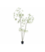 NU PUUR & GROEN DOMANI pot "Graz" natural white / inclusief Schefflera planten van Silk-Ka