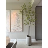 NU PUUR & GROEN DOMANI pot "Bastia" canvas / including Bucida trees from Silk-Ka