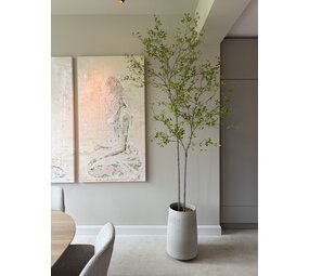 NU PUUR & GROEN Pot DOMANI « Bastia » en toile / comprenant des arbres Bucida de Silk-Ka