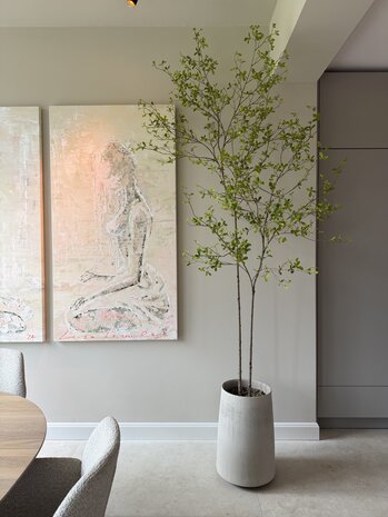 NU PUUR & GROEN Pot DOMANI « Bastia » en toile / comprenant des arbres Bucida de Silk-Ka