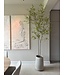 NU PUUR & GROEN Vaso DOMANI "Bastia" tela / con alberi di Bucida di Silk-Ka