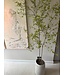 NU PUUR & GROEN DOMANI pot "Bastia" canvas / inclusief Bucida boompjes van Silk-Ka