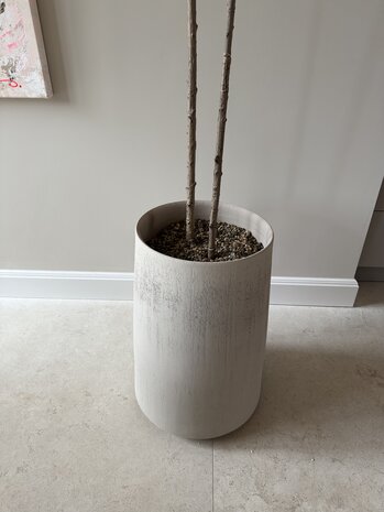 NU PUUR & GROEN Vaso DOMANI "Bastia" tela / con alberi di Bucida di Silk-Ka