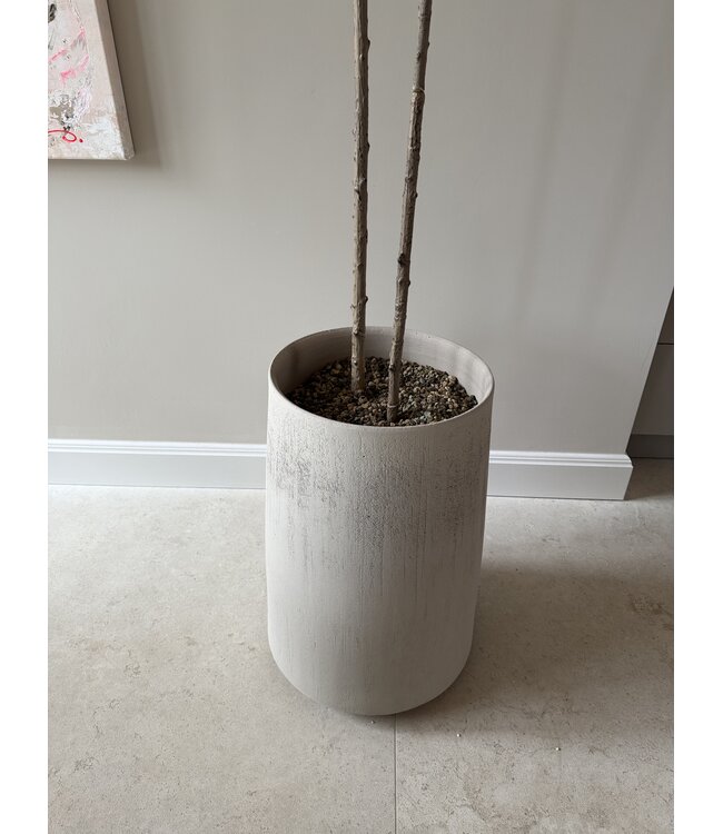 NU PUUR & GROEN DOMANI pot "Bastia" canvas / inclusief Bucida boompjes van Silk-Ka
