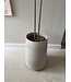 NU PUUR & GROEN DOMANI pot "Bastia" canvas / inclusief Bucida boompjes van Silk-Ka