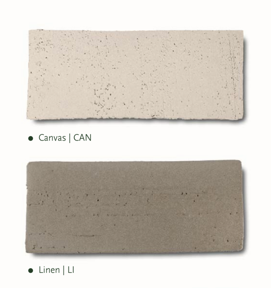 NU PUUR & GROEN DOMANI pot "Bastia" canvas / inclusief Bucida boompjes van Silk-Ka