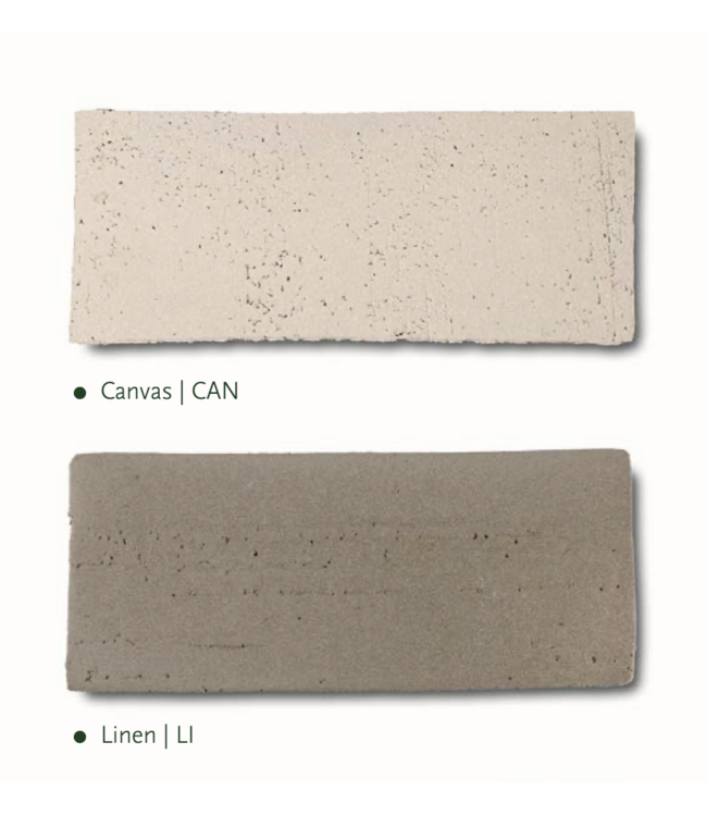 NU PUUR & GROEN DOMANI pot "Bastia" canvas / inclusief Bucida boompjes van Silk-Ka